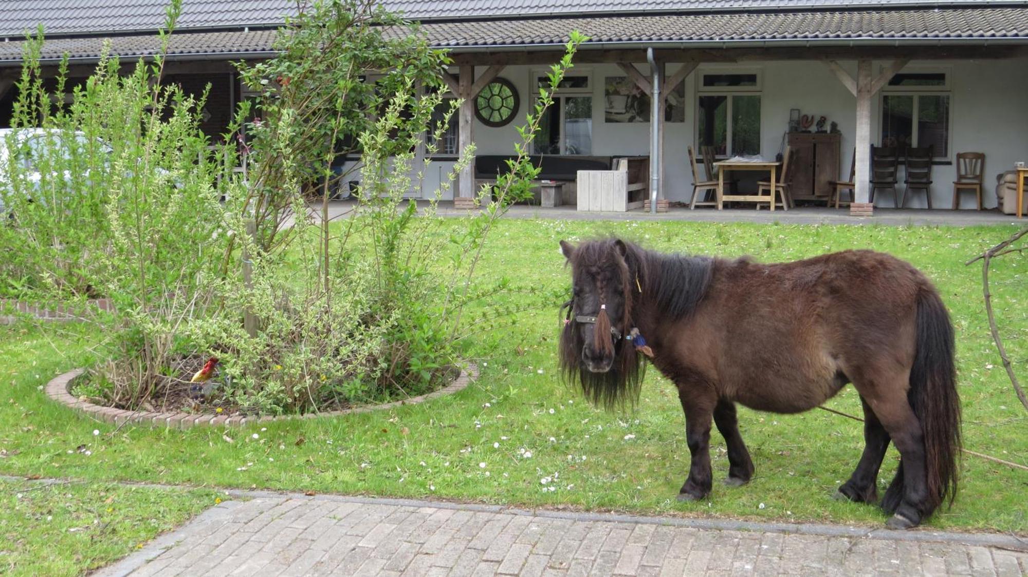 Hoeveheikant Lage Mierde Exterior foto